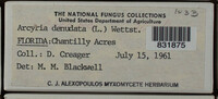 Image Associated With the Occurence